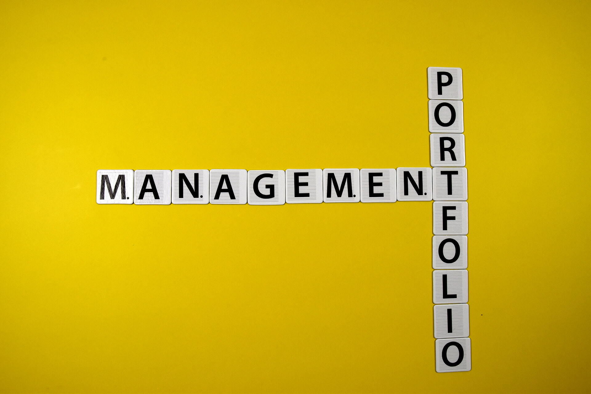 What are elements of Project Portfolio?