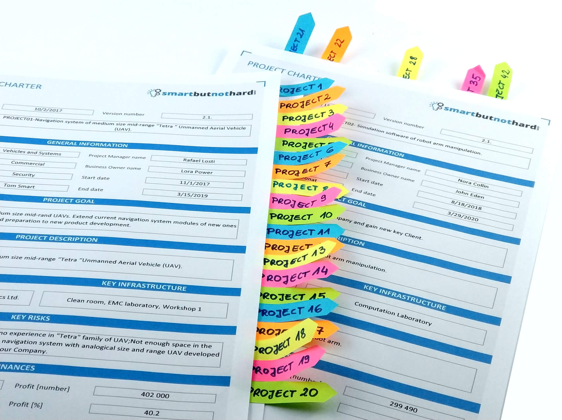 Who manage Project Portfolio?